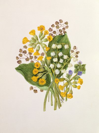 زنبق الوادي والأبقار (مرحاض على ورق) بواسطة أورسولا هودجسون